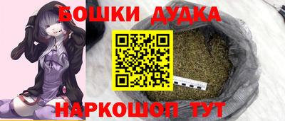 гидра Будённовск