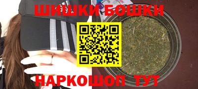 гидра Будённовск