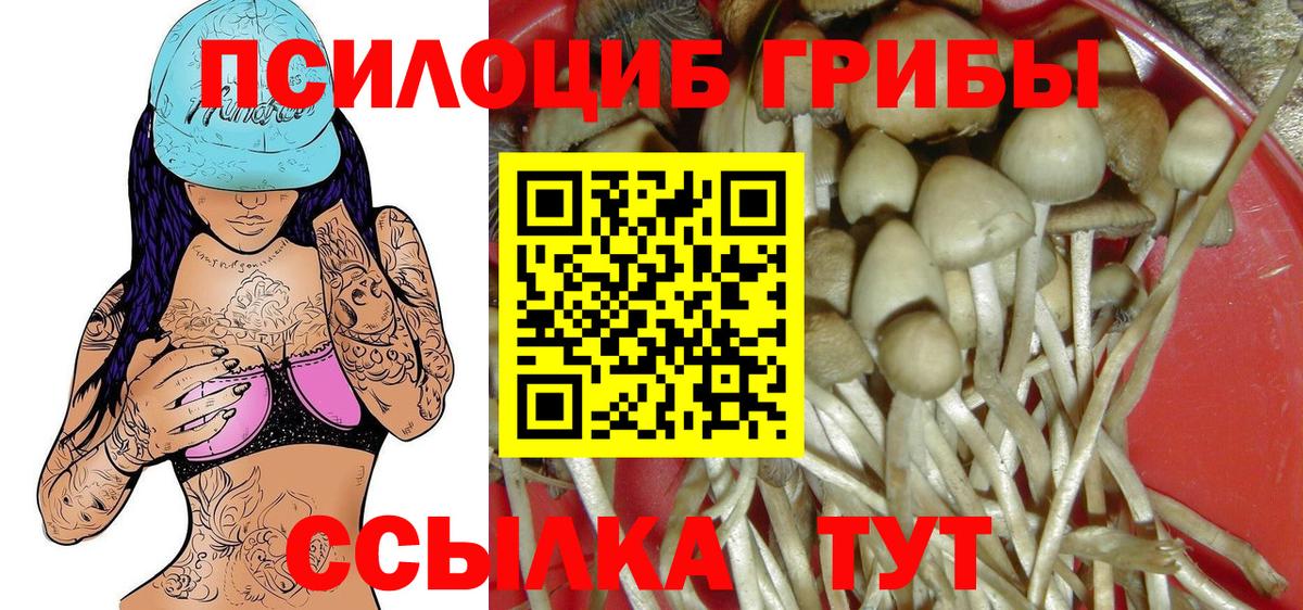 Псилоцибиновые грибы Cubensis  Вход с VPN  Кумертау 